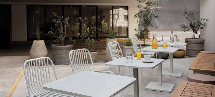 Crisol 套房 康德萨(Crisol Suites Condesa)图片