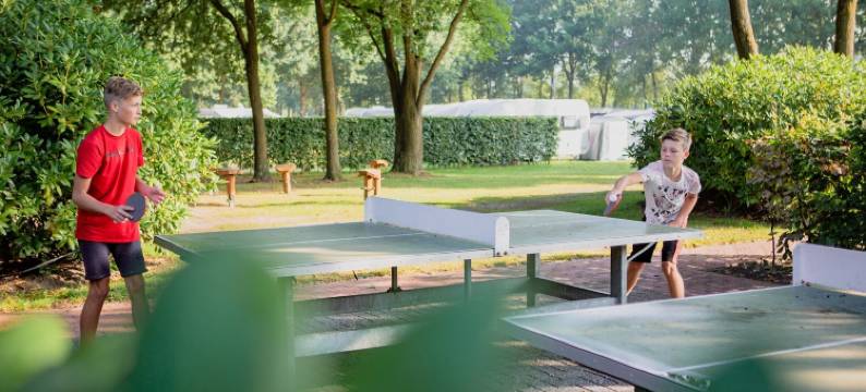 布拉班特的小房子，带舒适露台(Tiny House in Brabant with Cozy Terrace)图片