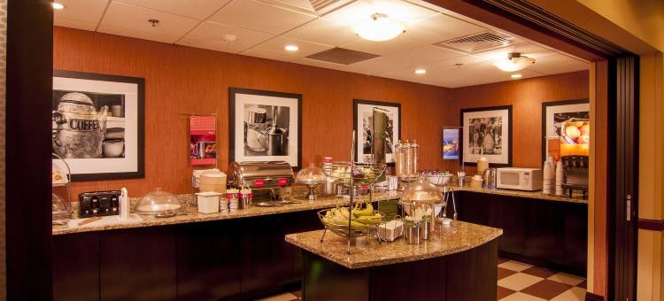 北坦帕希尔顿欢朋旅馆&套房酒店(Hampton Inn & Suites Tampa-North)图片