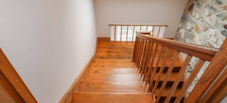 卡诺法(Carnorfa)图片