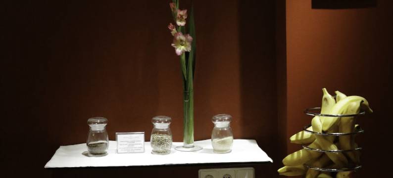 泰伯酒店(Hotel Tabor Maribor)图片