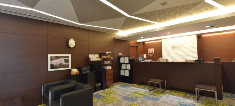 新盖亚酒店-上吴服(Hotel New Gaea Kamigofuku)图片