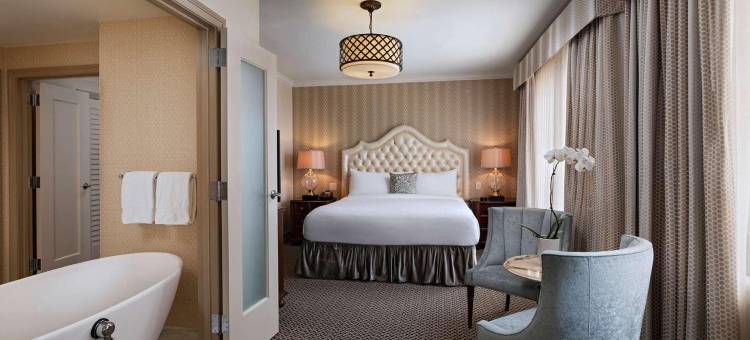 斯蒂芬F奥斯汀皇家索内斯塔酒店(The Stephen F Austin Royal Sonesta Hotel)图片