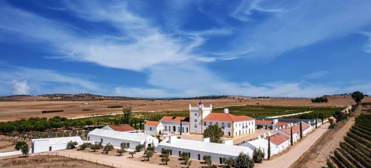 设计酒店的会员，蒙福特的Torre de Palma葡萄酒酒店(Torre de Palma Wine Hotel, Monforte, a Member of Design Hotels)图片