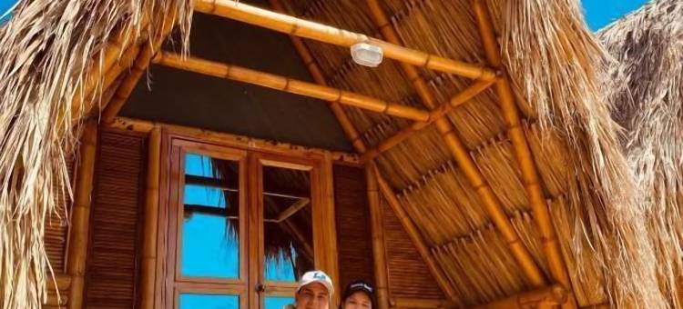 帕洛米诺日出(Palomino Sunrise)图片