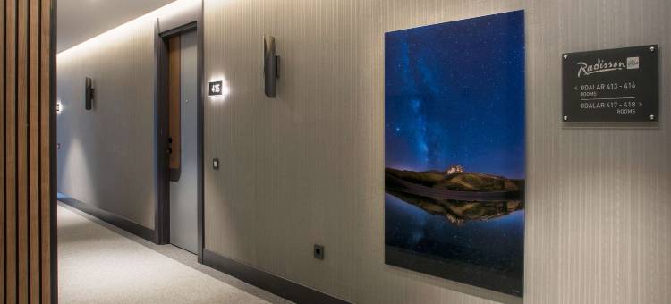 埃尔西耶斯山丽笙酒店(Radisson Blu Hotel, Mount Erciyes)图片