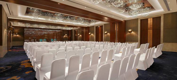 齐普尔市中心假日酒店(Holiday Inn Jaipur City Centre)图片