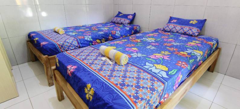 奥尔登帕朗特里迪斯旅馆(Losmen Alden)图片