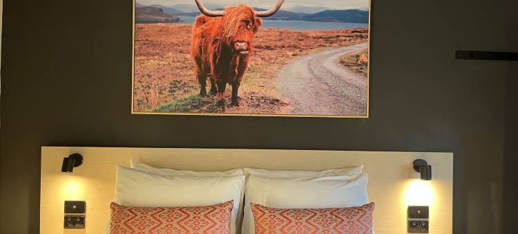 夜帽在巴克利酒店(Nightcap at Barkly Hotel)图片