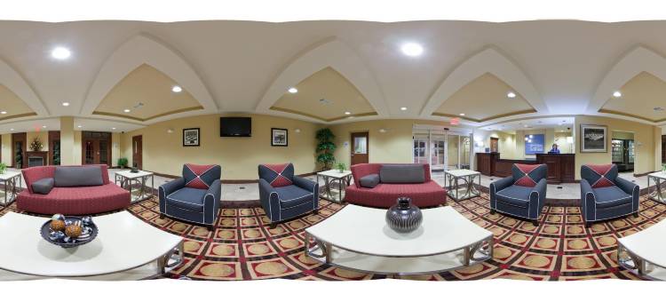 智选假日套房酒店塔拉迪加(Holiday Inn Express & Suites Talladega)图片