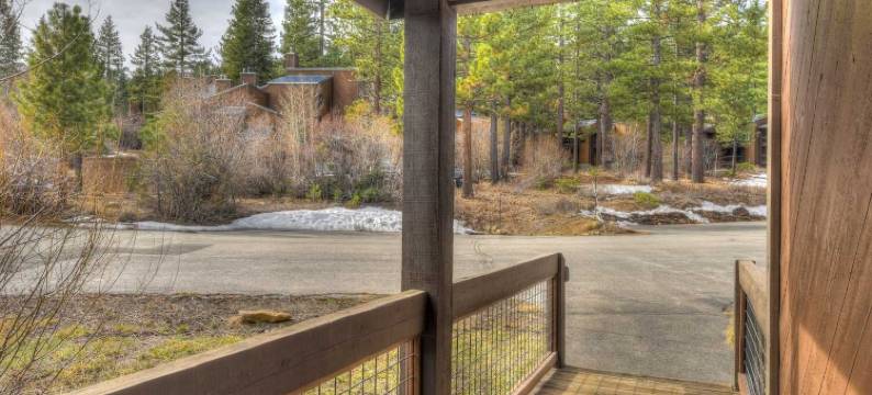 银树庇护所，在白杨树林中(Silver Tree Sanctuary in Aspen Grove!)图片