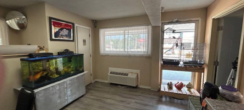 梅西科MO54号公路上的Budget Inn(Budget Inn Mexico MO on US 54)图片