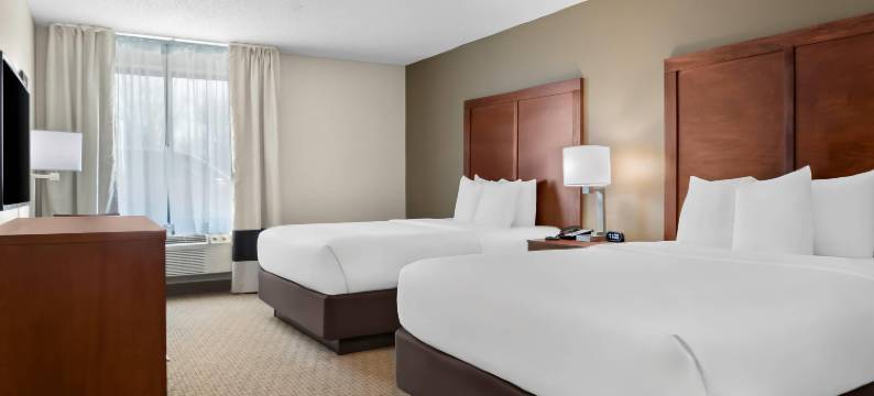 舒适套房酒店(Comfort Inn & Suites)图片