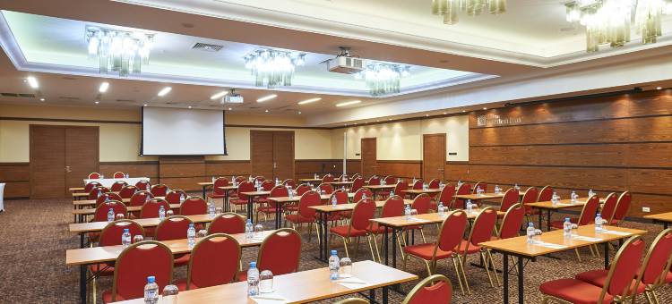 克拉斯诺亚尔斯克希尔顿花园酒店(Hotel Hilton Garden Inn Krasnoyarsk)图片