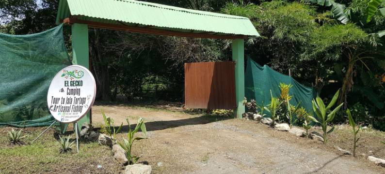 壁虎酒店(El Gecko Hotel & Tours)图片