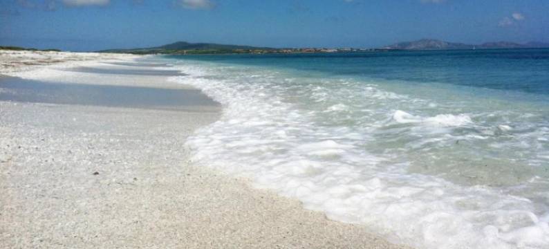 Villa in Stintino near Pelosa Beach图片