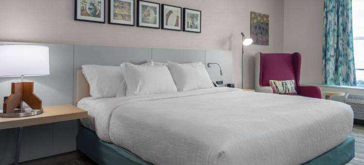 奥卡拉市中心希尔顿花园酒店(Hilton Garden Inn Ocala Downtown)图片