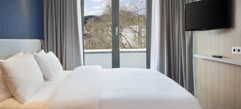 巴登巴登智选假日酒店(Holiday Inn Express BADEN - BADEN by IHG)图片