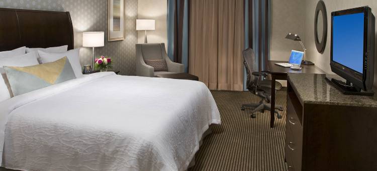 安大略米西索加机场西希尔顿花园旅馆(Hilton Garden Inn Toronto Airport West/Mississauga)图片