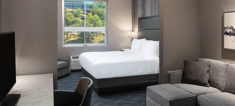 Fairfield Inn & Suites Boston Waltham图片