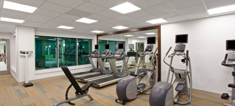 智选假日套房酒店-休斯顿西北/赛普拉斯290号高速路(Holiday Inn Express & Suites Houston NW - Hwy 290 Cypress)图片