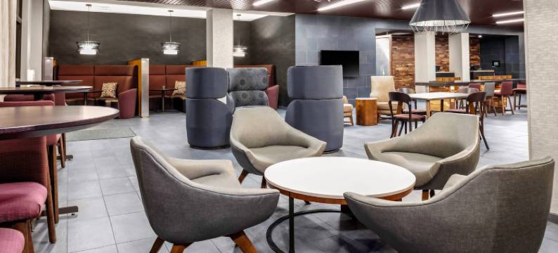 东兰辛奥克莫斯万豪万怡酒店(Courtyard East Lansing Okemos)图片