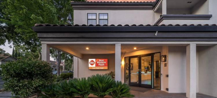 棕榈阁贝斯特韦斯特优质酒店(Best Western Plus Palm Court Hotel)图片