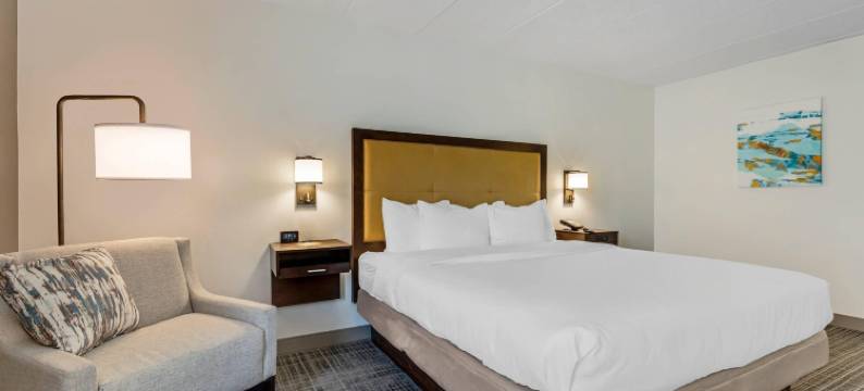 罗瑞尔- 米德堡区舒适酒店(Comfort Inn Laurel - Fort Meade)图片