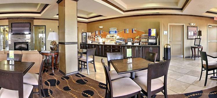 智选假日套房酒店克洛维斯(Holiday Inn Express & Suites Clovis)图片