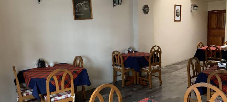 OYO 博物馆酒店(OYO Hotel Museo)图片