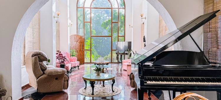 阿埃拉基棕榈(Aeraki palms)图片