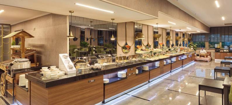 帕尔米亚加济安泰普酒店(Palmiye Hotel Gaziantep)图片