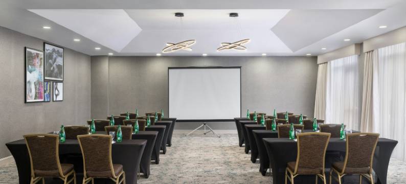 华盛顿哥伦比亚特区格林贝尔特希尔顿花园酒店(Hilton Garden Inn Washington DC/Greenbelt)图片