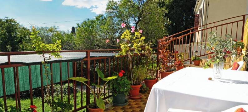 托姆茨客房(Rooms Tomc)图片