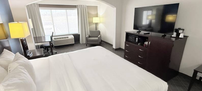 舒适酒店康诺弗-希科里(Comfort Inn Conover-Hickory)图片