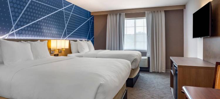 东格林奥尔巴尼舒适套房酒店(Comfort Inn & Suites East Greenbush - Albany)图片