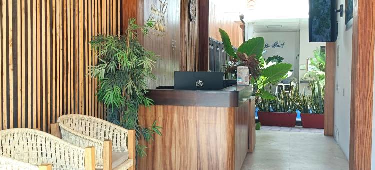 蓬塔科利布里(Hotel Punta Colibri)图片