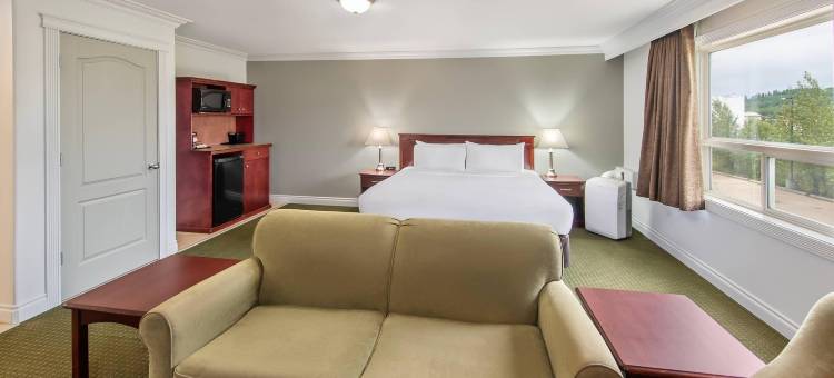 怀特考特戴斯套房酒店(Quality Inn & Suites)图片