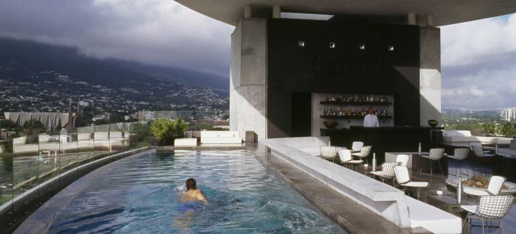 蒙特雷哈比塔酒店 - 设计酒店会员(Habita Monterrey, a Member of Design Hotels)图片
