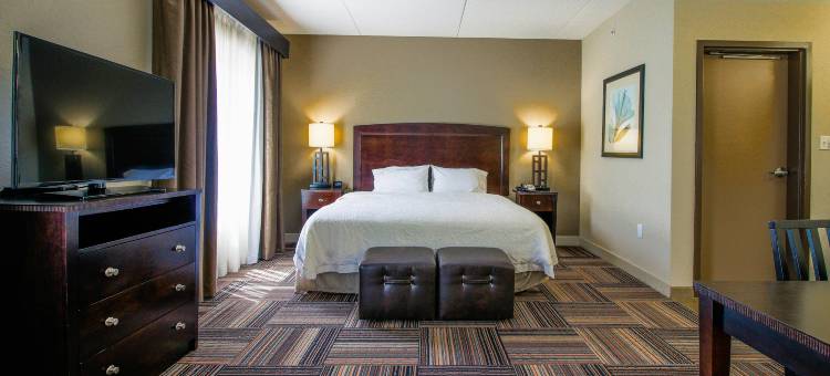 希尔顿欢朋套房酒店-弗劳沃利布兰奇(Hampton Inn & Suites Flowery Branch Lake Lanier)图片