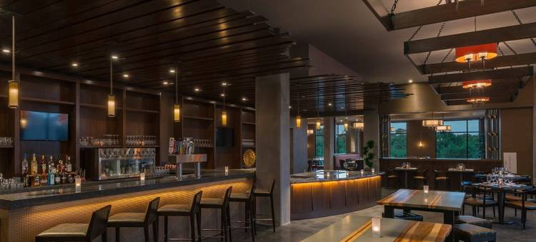 奥斯汀乔治敦喜来登酒店和会议中心(Sheraton Austin Georgetown Hotel & Conference Center)图片
