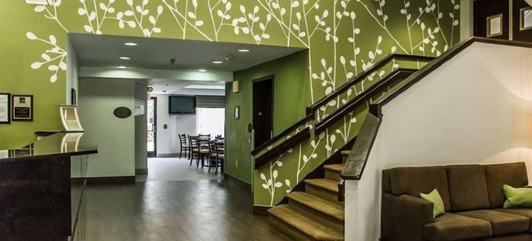 机场舒眠酒店-比利格雷厄姆大道(Sleep Inn Airport - Billy Graham Parkway)图片