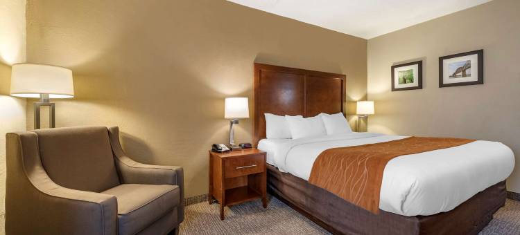 舒适酒店麦迪逊 靠近克利夫提瀑布(Comfort Inn)图片
