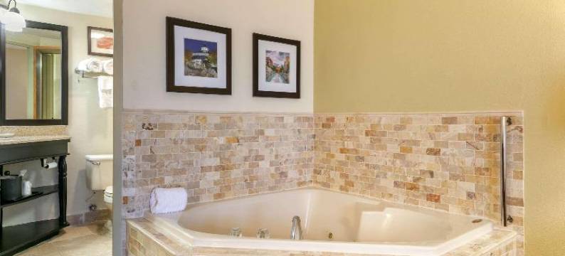 查塔努加市中心南区舒适酒店(Comfort Inn Downtown)图片