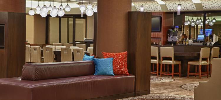 希尔顿康科德酒店(Hilton Concord)图片