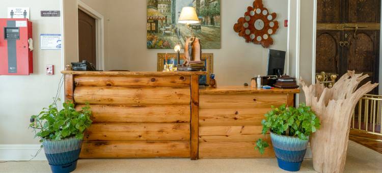 橡树酒店(Oak Tree Hotel)图片