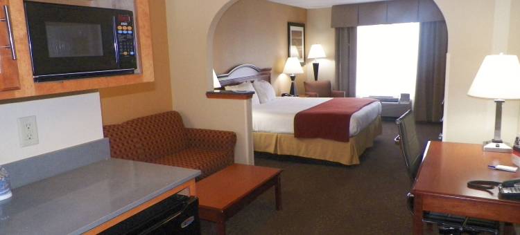 智选假日套房酒店森林(Holiday Inn Express & Suites Forest)图片