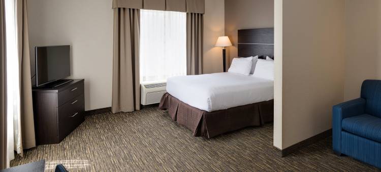智选假日套房酒店安多弗东54威奇托(Holiday Inn Express & Suites East Wichita I-35 Andover)图片