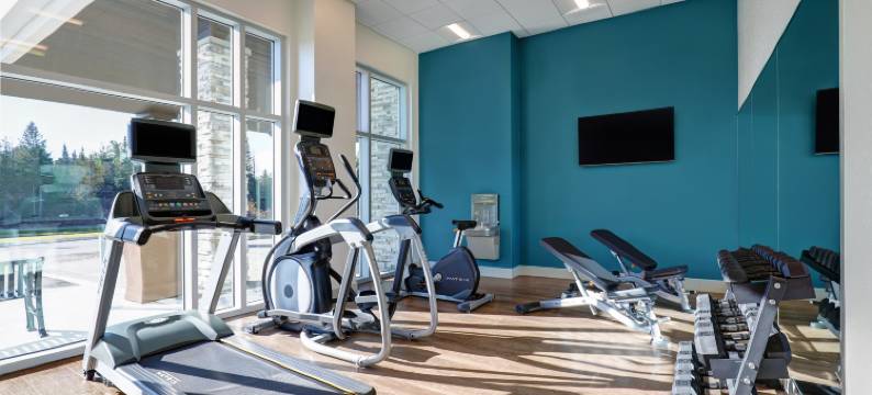 金斯顿西智选假日酒店(Holiday Inn Express KINGSTON WEST by IHG)图片