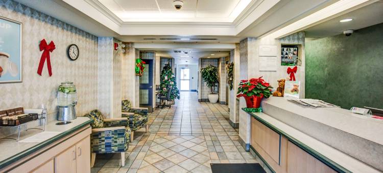红鹿6号汽车旅馆(Motel 6 Red Deer, AB)图片